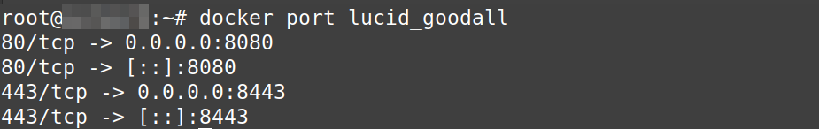 Melihat Port yang Aktif