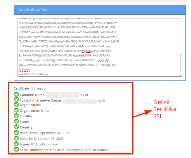 Cek Detail Sertifikat SSL pada Online Tools