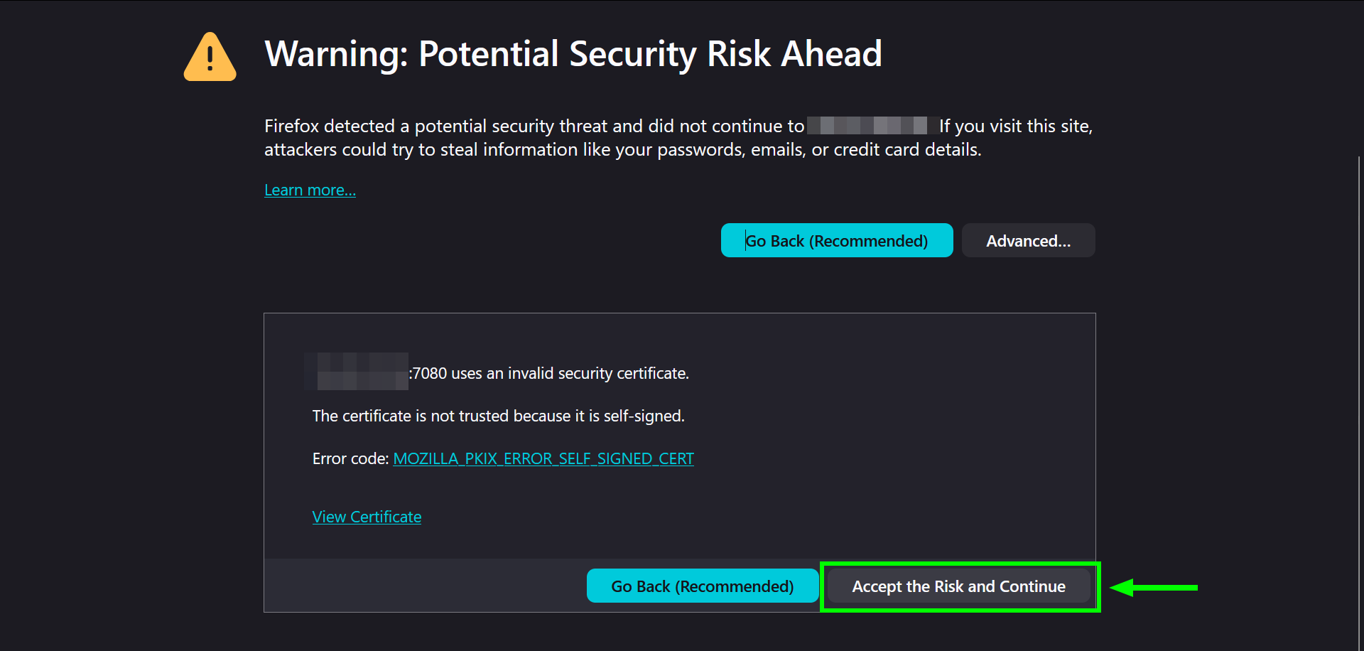 Accept the Risk & Continue.png
