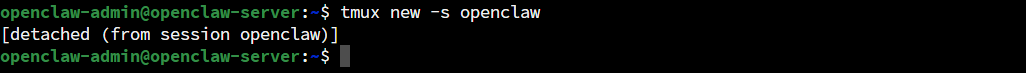 Tampilan terminal tmux detach