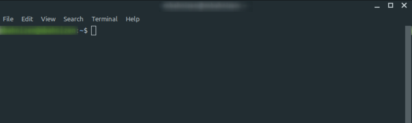 Tampilan Terminal Linux