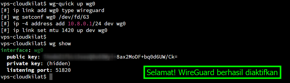 Cek status interface WireGuard di Server Ubuntu