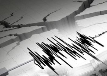 Getaran Gempa 4,1 Magnitudo Terjadi di Perairan Maluku Barat Daya