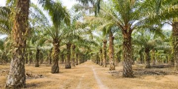 KPK Siapkan Agenda Pemeriksaan Bambang R. Tanoesoedibjo dalam Kasus Bansos