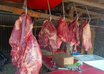 Harga Daging Sapi Naik 15 % Meningkat nya Kebutuhan Konsumsi jelang ramadhan