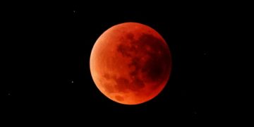 Soroti Penggunaan AI di Gereja, Paus Leo Tegaskan Khotbah Tak Bisa Digantikan Mesin