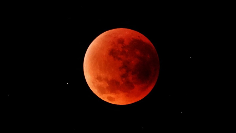 Soroti Penggunaan AI di Gereja, Paus Leo Tegaskan Khotbah Tak Bisa Digantikan Mesin