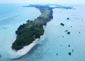 Tak Perlu Keluar Kota, Ini 6 Wisata Alam Jakarta untuk Healing Singkat