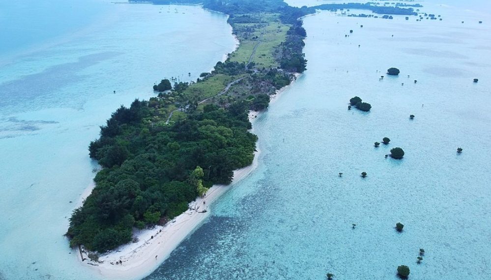 Tak Perlu Keluar Kota, Ini 6 Wisata Alam Jakarta untuk Healing Singkat