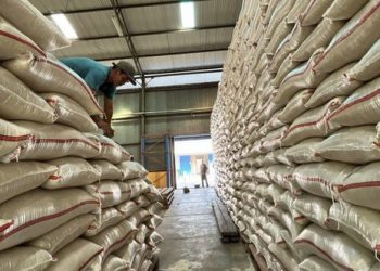 Cadangan Beras Nasional Menguat, Capai 4 Juta Ton