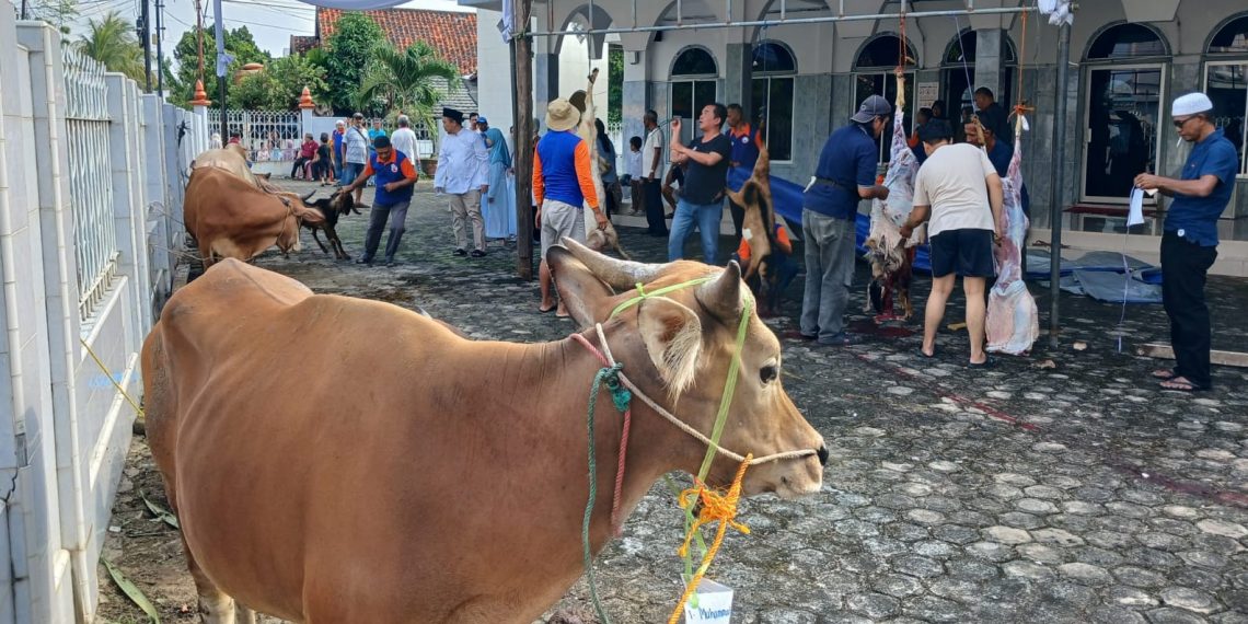 Iduladha 2026 Diprediksi Bersamaan, Umat Islam Bisa Rayakan Serentak