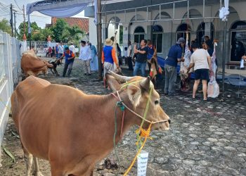 Iduladha 2026 Diprediksi Bersamaan, Umat Islam Bisa Rayakan Serentak