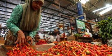 Harga Cabai Berangsur Turun Usai Ramadan