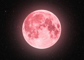 Fenomena Langit April 2026: Pink Moon dan Hujan Meteor Siap Menghiasi Malam