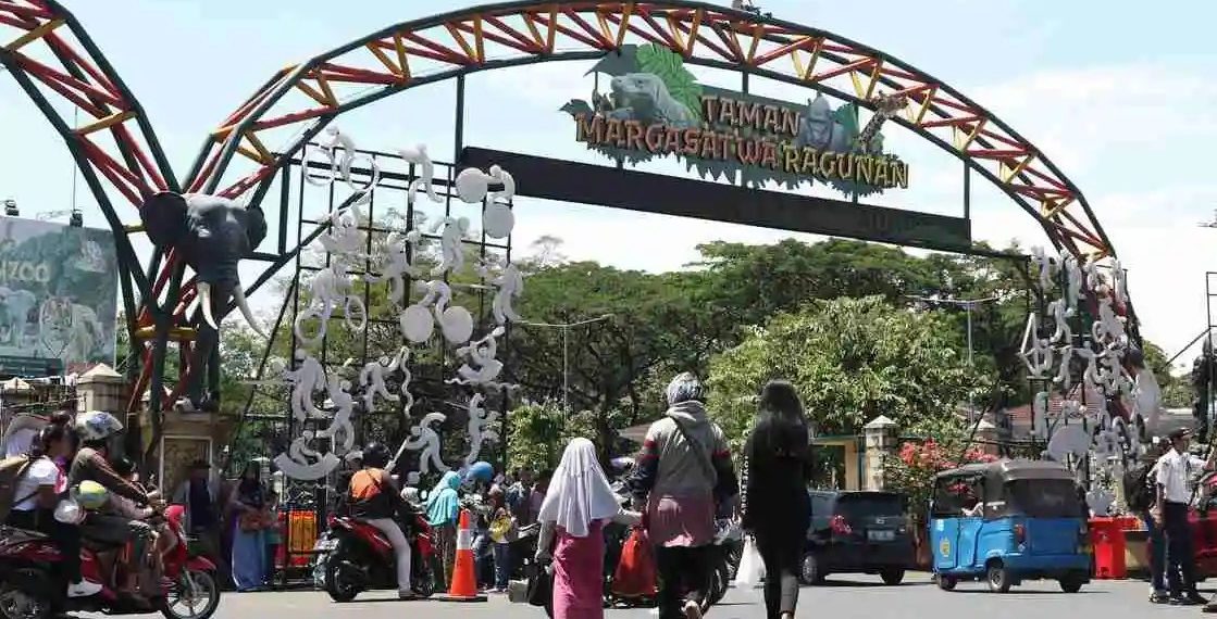 Membludaknya Pengunjung Ragunan Sebabkan Kemacetan di Sekitar Area