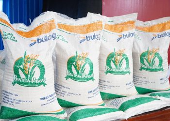 El Nino Ekstrem di Depan Mata, Pemerintah Amankan Cadangan Pangan