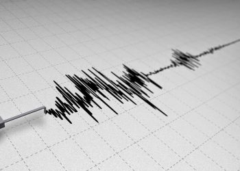 Kolaka Timur dan Kendari Diguncang Lima Gempa Dangkal, BMKG Beri Penjelasan