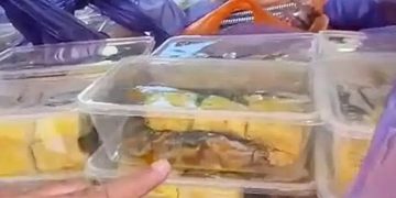 Viral Lele Mentah di Menu MBG Ditolak SMAN 2 Pamekasan, Ini Penjelasan BGN