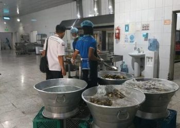 Layanan Makan Jamaah Haji 2026 Dimulai di Madinah, Sajikan Menu Indonesia Bergizi