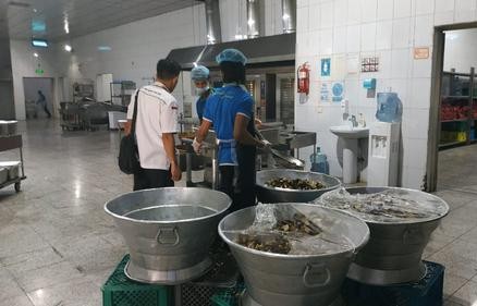 Layanan Makan Jamaah Haji 2026 Dimulai di Madinah, Sajikan Menu Indonesia Bergizi