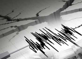 Gempa Kecil Goyang Keerom Papua, BMKG Pastikan Tak Berpotensi Tsunami