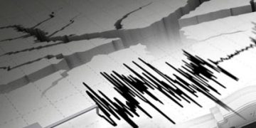 Gempa Kecil Goyang Keerom Papua, BMKG Pastikan Tak Berpotensi Tsunami