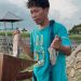 Ikan Sapu-sapu Jadi Hama di Jakarta, Warga Sidrap Olah Jadi Makanan dan Pakan Ternak
