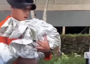 Cerita di Balik Bayi 1,5 Tahun Hipotermia di Gunung Ungaran