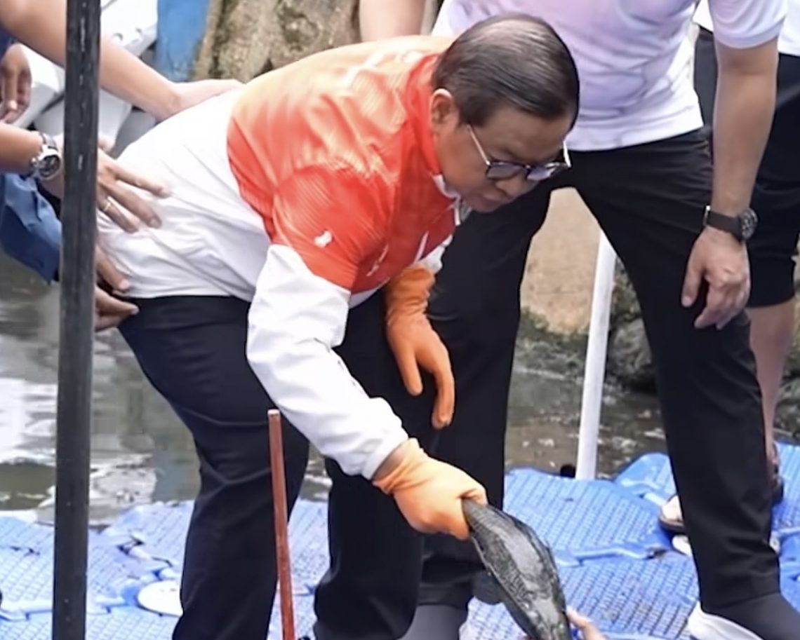 DKI Evaluasi Metode Pengendalian Ikan Sapu-Sapu Usai Kritik MUI