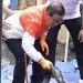 DKI Evaluasi Metode Pengendalian Ikan Sapu-Sapu Usai Kritik MUI