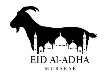 Xavi Simons Cedera ACL, Tottenham Kehilangan hingga Akhir Musim