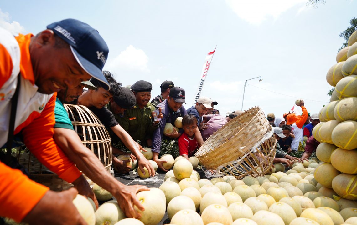 Petrokimia Gresik Dorong Produktivitas Melon Pantura Naik 10 Persen Lewat Program “Pestani”
