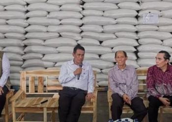 Mentan Amran Tegaskan Stok Beras Nasional Aman Hadapi El Nino 15 Bulan