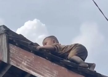 Bocah 2 Tahun di Lombok Bikin Heboh Usai Naik Genteng Rumah