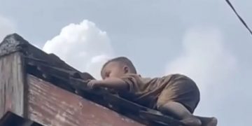 Bocah 2 Tahun di Lombok Bikin Heboh Usai Naik Genteng Rumah
