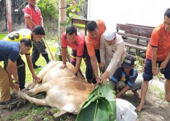 Bacaan Niat Kurban untuk Diri Sendiri pada Idul Adha 2026 Beserta Terjemahannya
