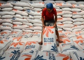 Gudang Bulog Dibuka untuk Publik 2026, Stok Beras Bisa Dicek Langsung