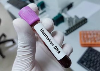 Hantavirus 2026: Kemenkes Pastikan Warga Tak Perlu Panik