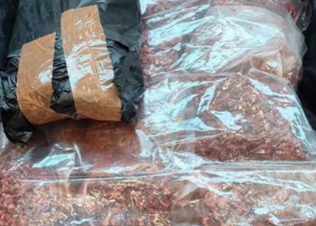 Tempe Orek 5 Kilogram di Koper Jemaah Haji Bikin Petugas Bandara Jeddah Curiga