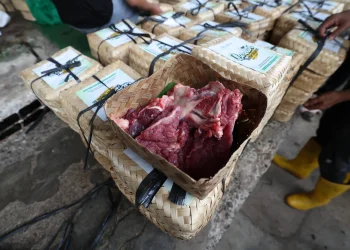 Astra Agro Bagikan Wawasan Bisnis Sawit Berkelanjutan kepada Mahasiswa UPN Veteran