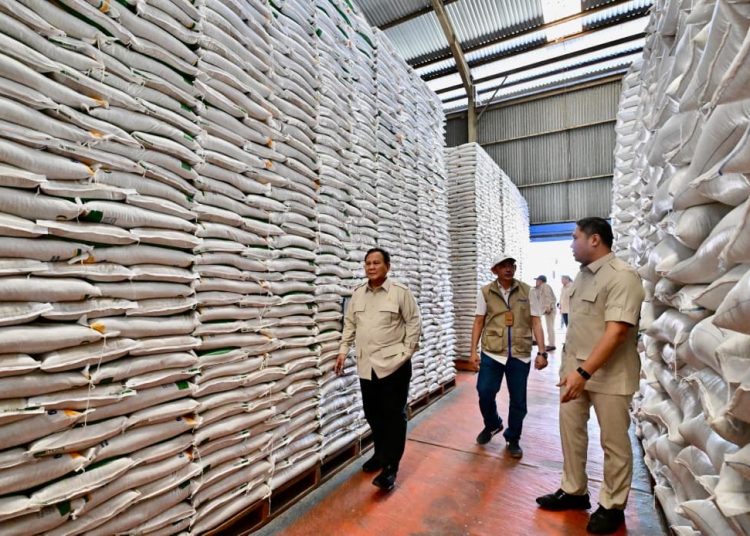 DPR Soroti Risiko Penumpukan 5,3 Juta Ton Beras di Gudang Bulog