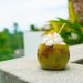 Cuaca Panas Melanda, Ini Minuman yang Cocok Cegah Dehidrasi