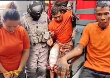 Sakit Hati dan Motif Ekonomi, Mantan Menantu Diduga Dalangi Pembunuhan Lansia di Riau