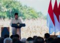 Hadapi Krisis Global, Prabowo Prioritaskan Ketahanan Pangan Nasional