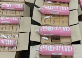 Selebgram Pengguna Whip Pink Akan Diperiksa Bareskrim