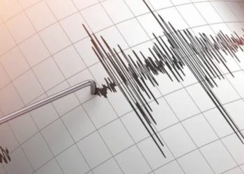 Gempa Magnitudo 4,9 Getarkan Tolitoli, Pusat di Laut Barat Laut Wilayah