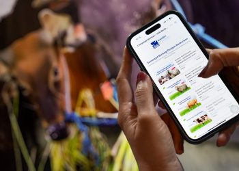 Bank Mandiri Hadirkan Layanan Kurban Praktis Lewat Fitur Sukha