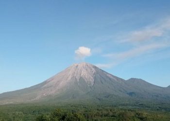 Gunung Semeru Siaga, Awan Panas Meluncur Hingga 1,2 Km