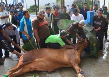 Idul Adha Ajarkan Nilai Keikhlasan, Empati, dan Semangat Berbagi