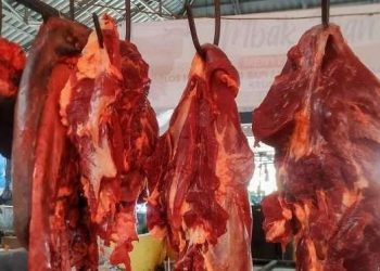 Jangan Berlebihan, Daging Merah Dapat Menurunkan Kualitas Tidur